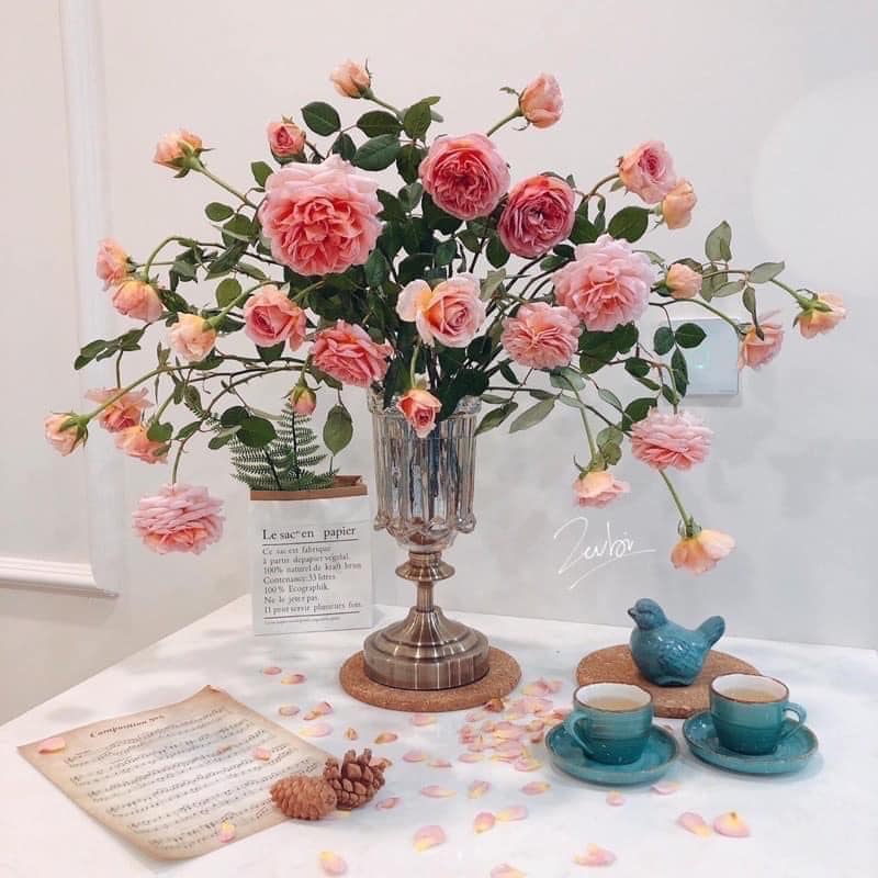 binh-thuy-tinh-de-dong-cao-cap