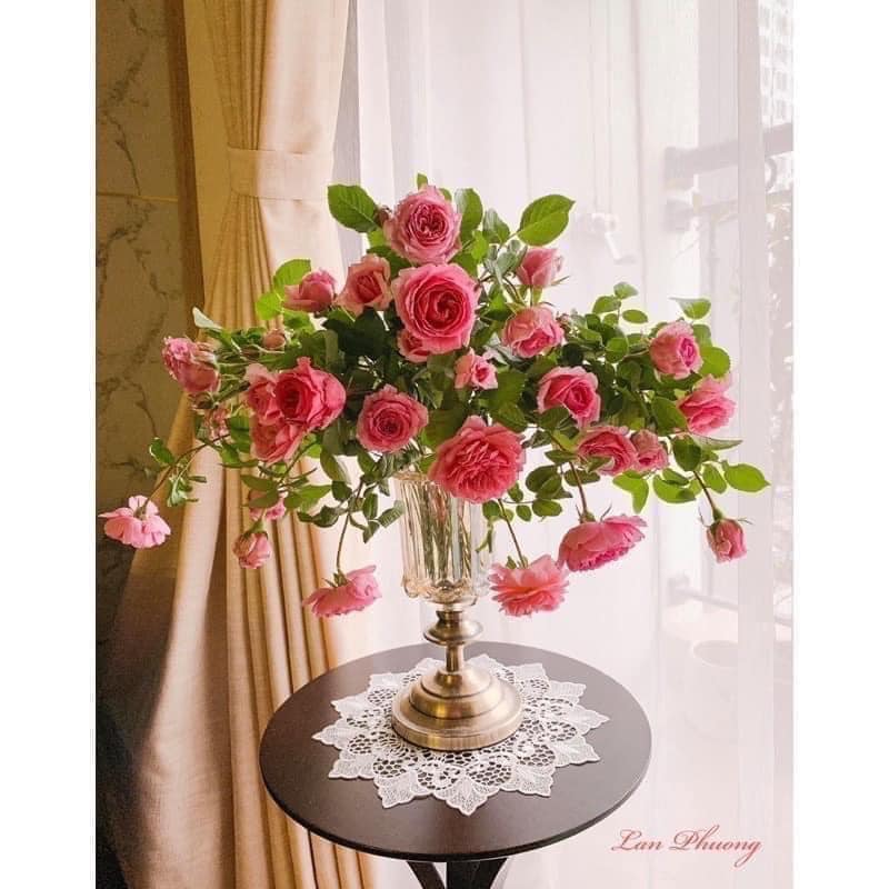 binh-thuy-tinh-phong-cach-hoang-gia