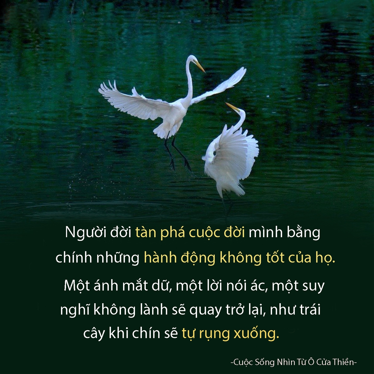 mau-tranh-canvas-tranh-dong-luc-tranh-slogan-22010