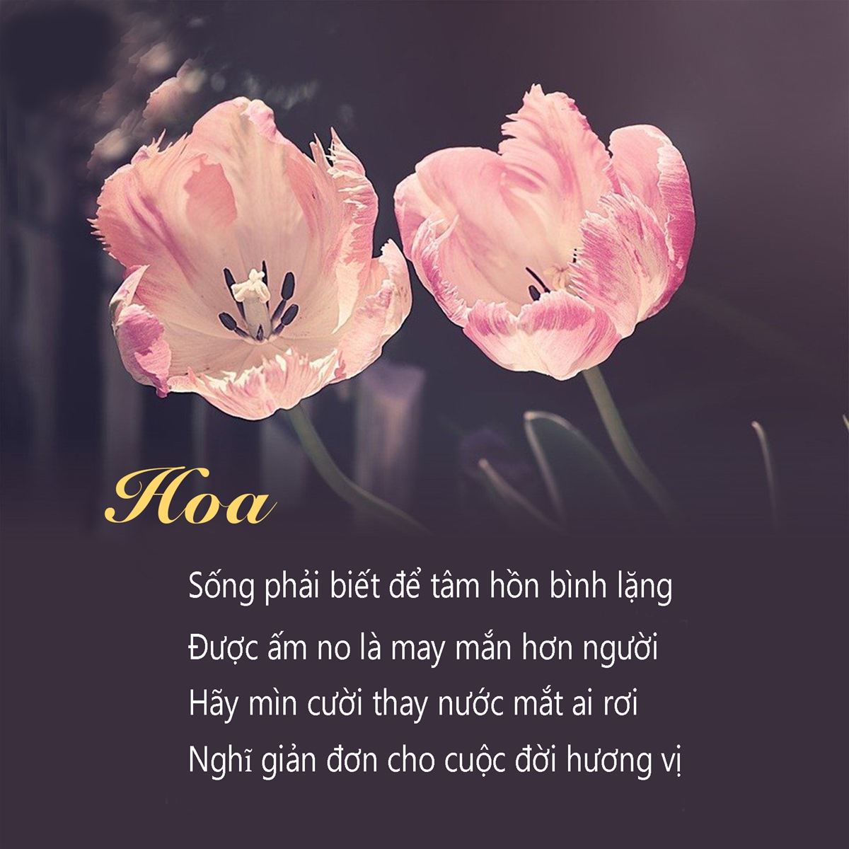 tranh-dong-luc-tranh-slogan