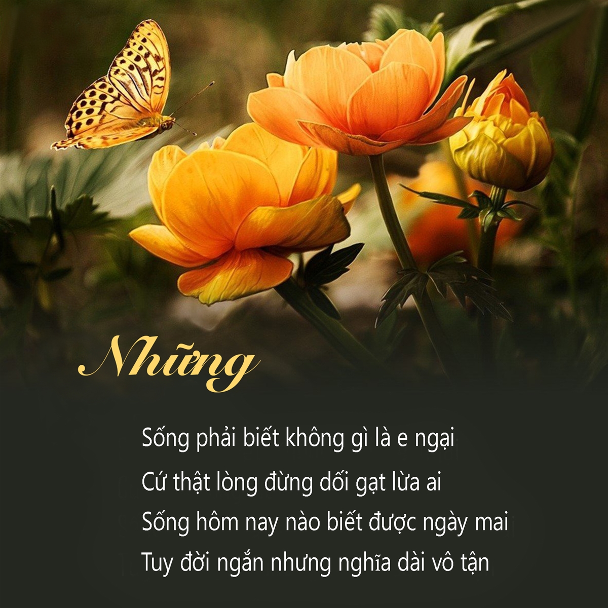 tranh-dong-luc-tranh-slogan