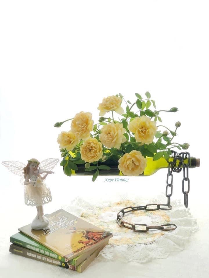 binh-cam-hoa-thuy-tinh-xich-ma-thuat-doc-dao